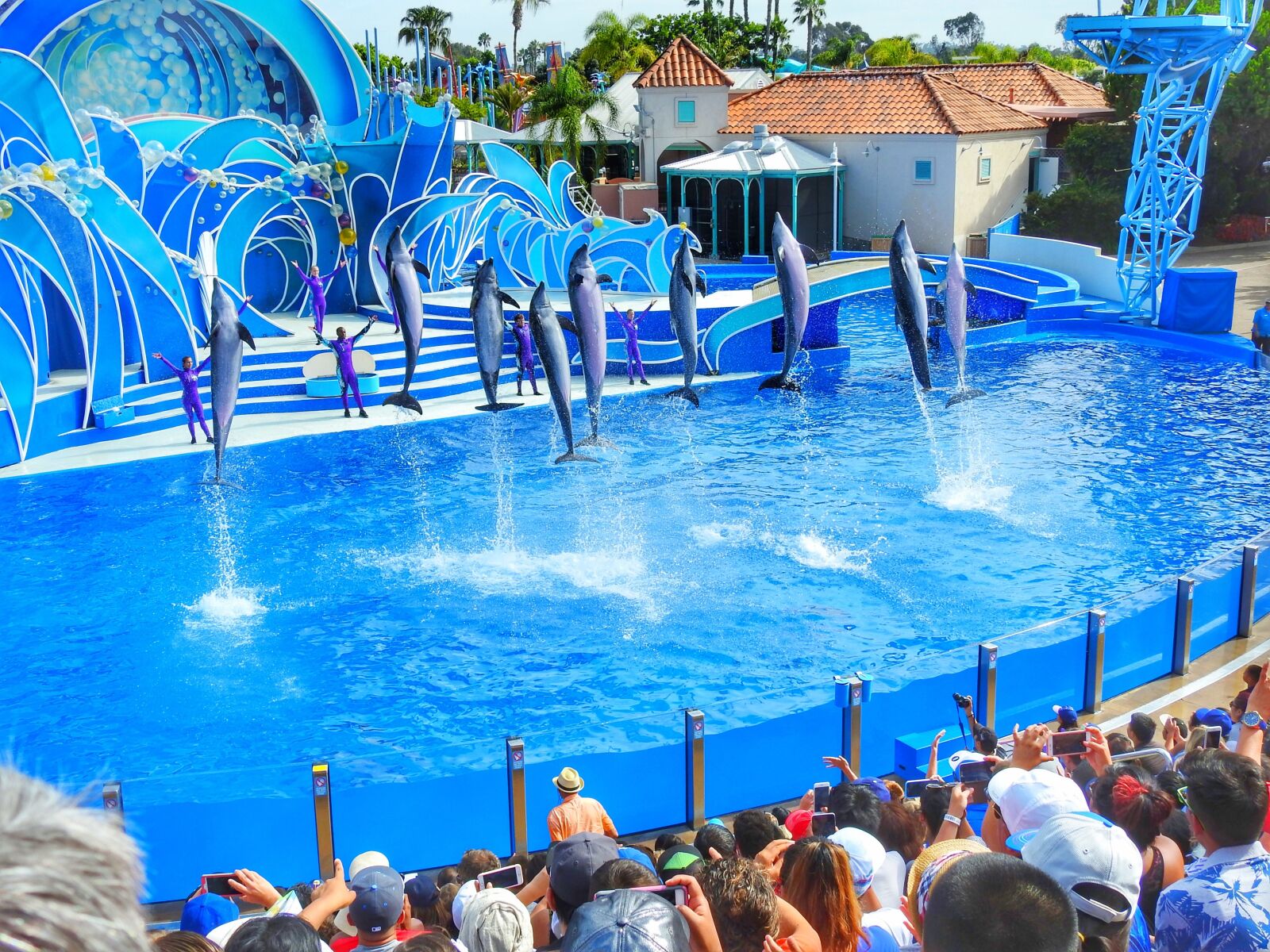 Nikon Coolpix P900 sample photo. Sea world, dolphins, water photography