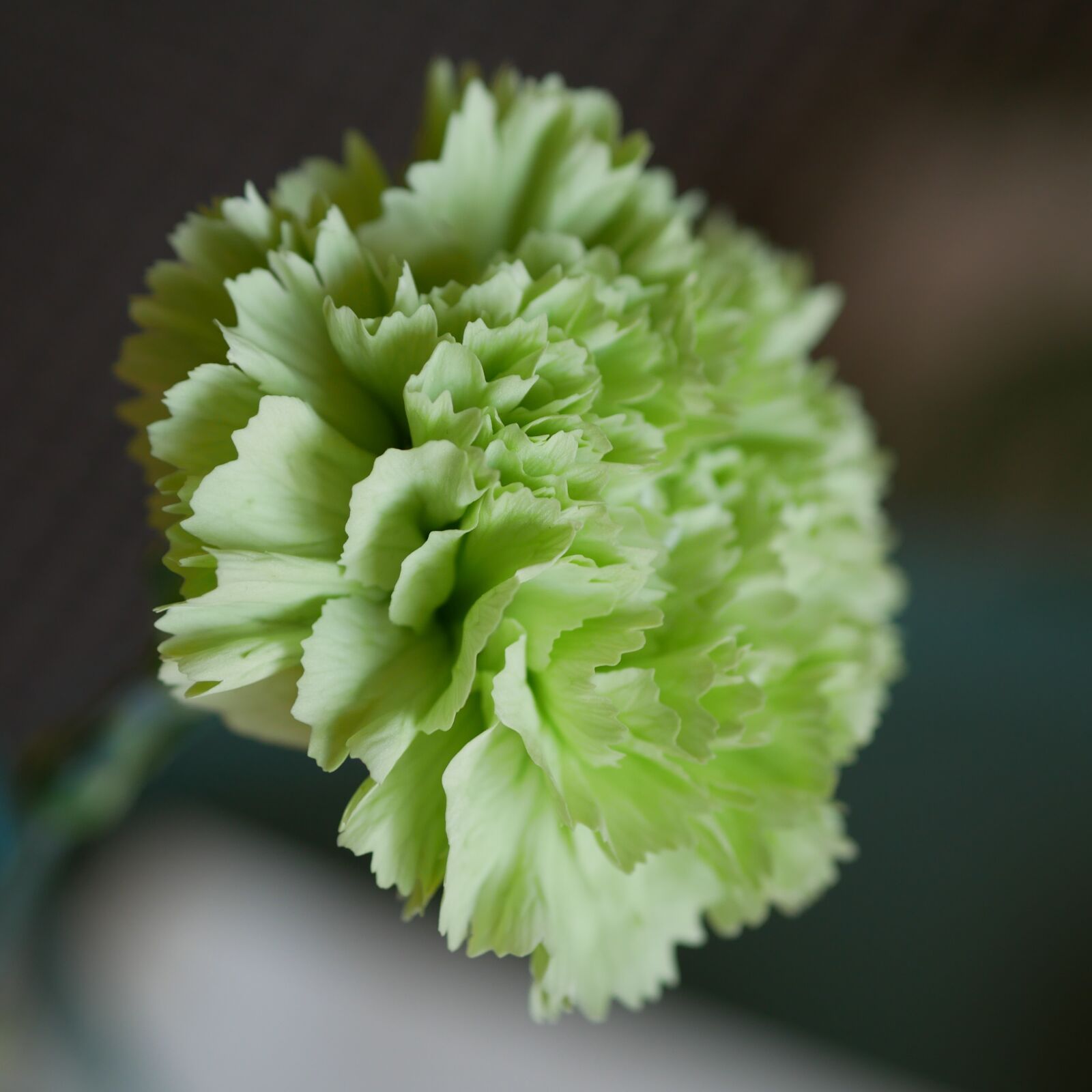 Panasonic Lumix DMC-GX85 (Lumix DMC-GX80 / Lumix DMC-GX7 Mark II) sample photo. Carnation, lily, flower photography