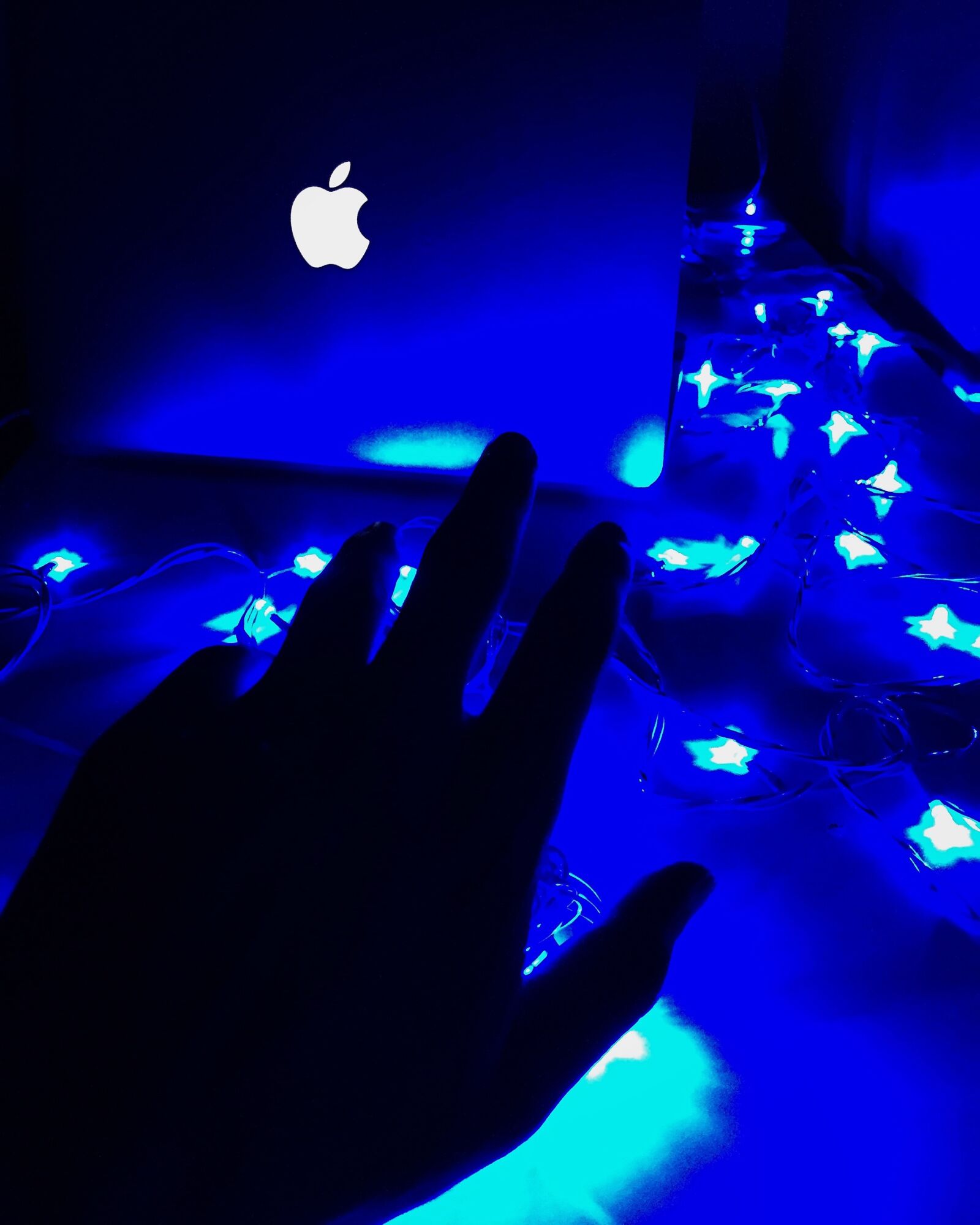 Apple iPhone 6 sample photo. Hand, palm, laptop photography