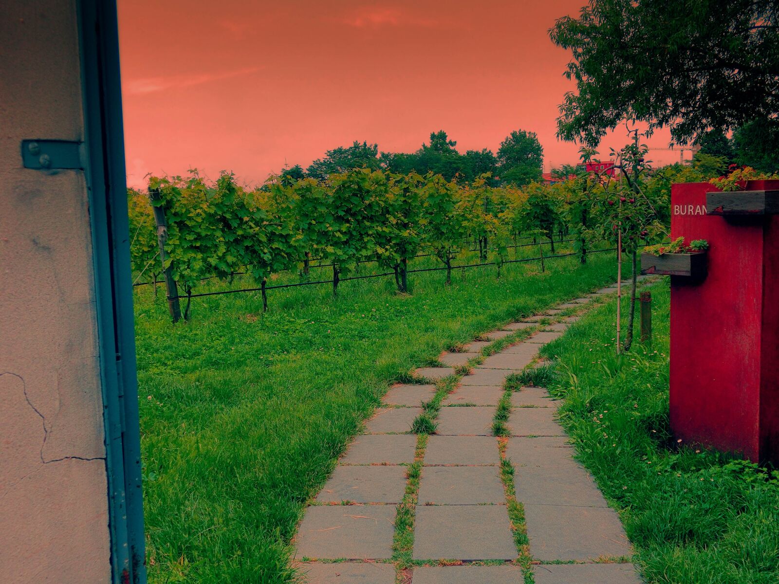 Casio Ex Zr0 Sample Photo Xbzdc4llqa Explorecams