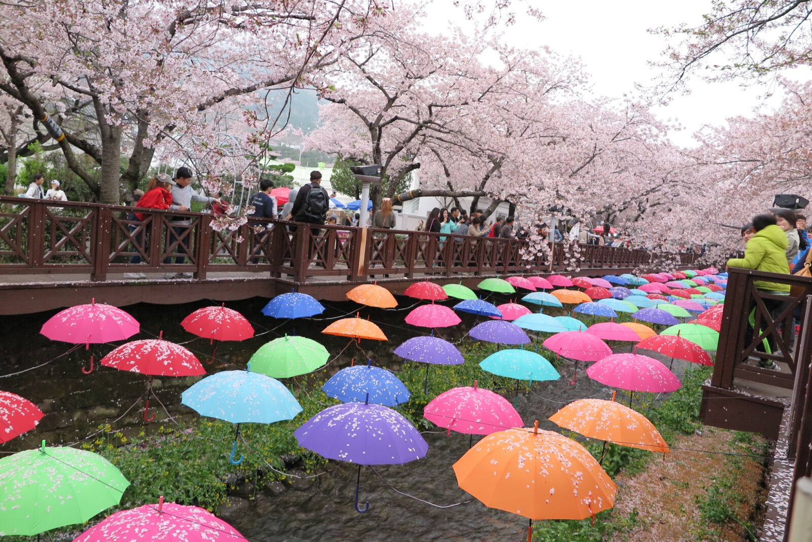 Canon PowerShot G1 X Mark II sample photo. Korea photography