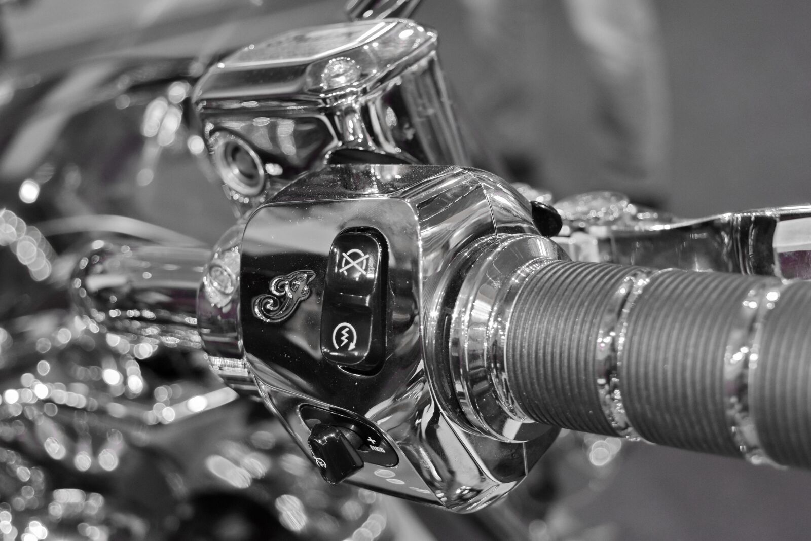 Nikon D5500 sample photo. Black and white, chrome photography