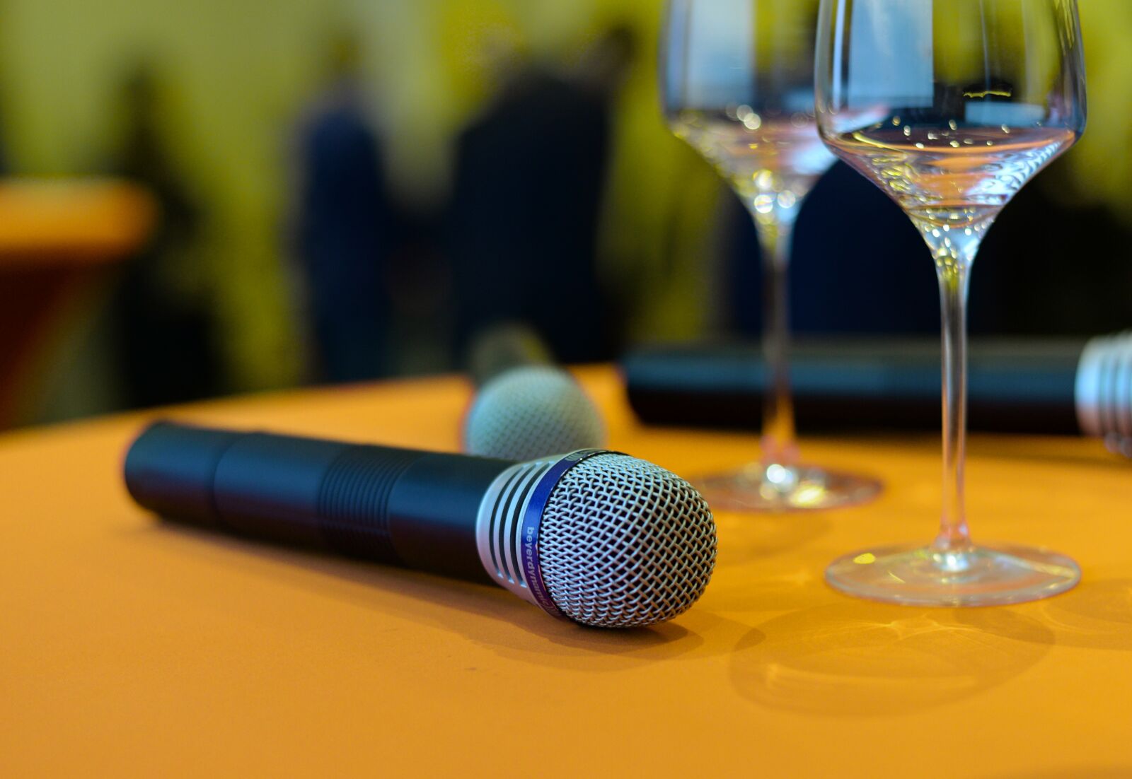 Nikon D610 sample photo. Mic, microphone, sound check photography
