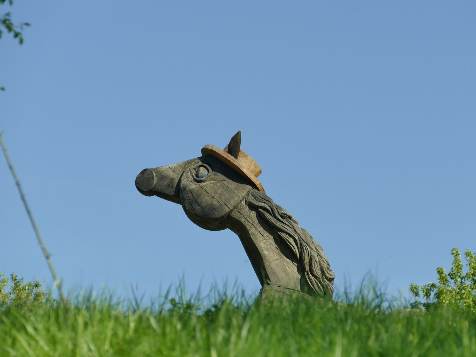 Panasonic Lumix DMC-FZ1000 sample photo. Horse, wood, art photography