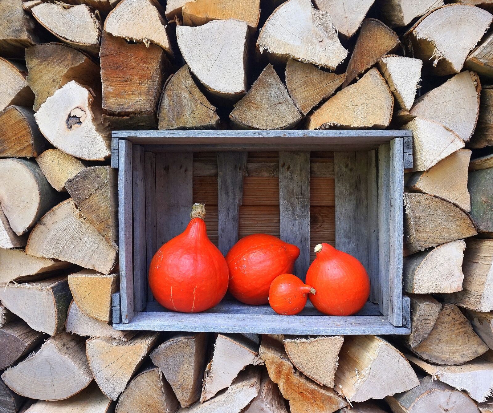 Sony Alpha a5000 (ILCE 5000) sample photo. Wood, logs, firewood photography