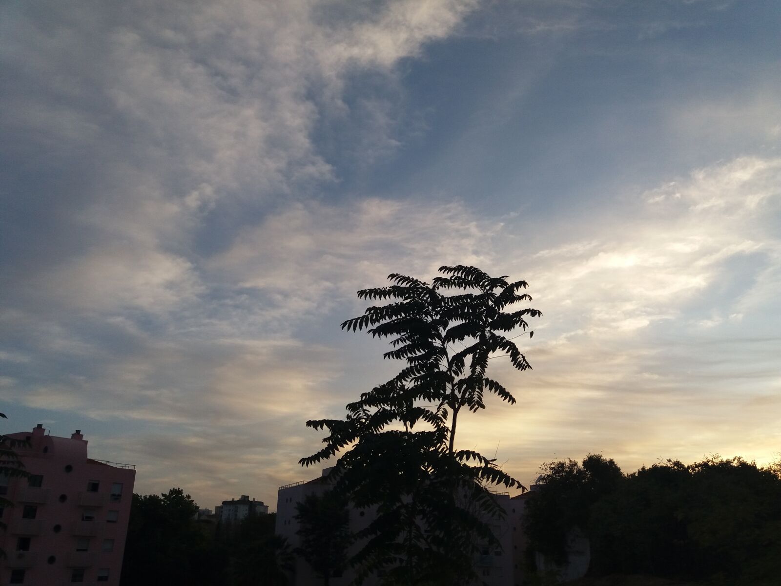Samsung Galaxy J5(2016) sample photo. Sky, twilight, tree photography