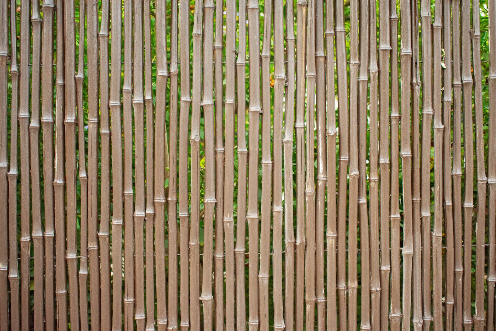 Nikon D7200 sample photo. Tree, fence, texture photography