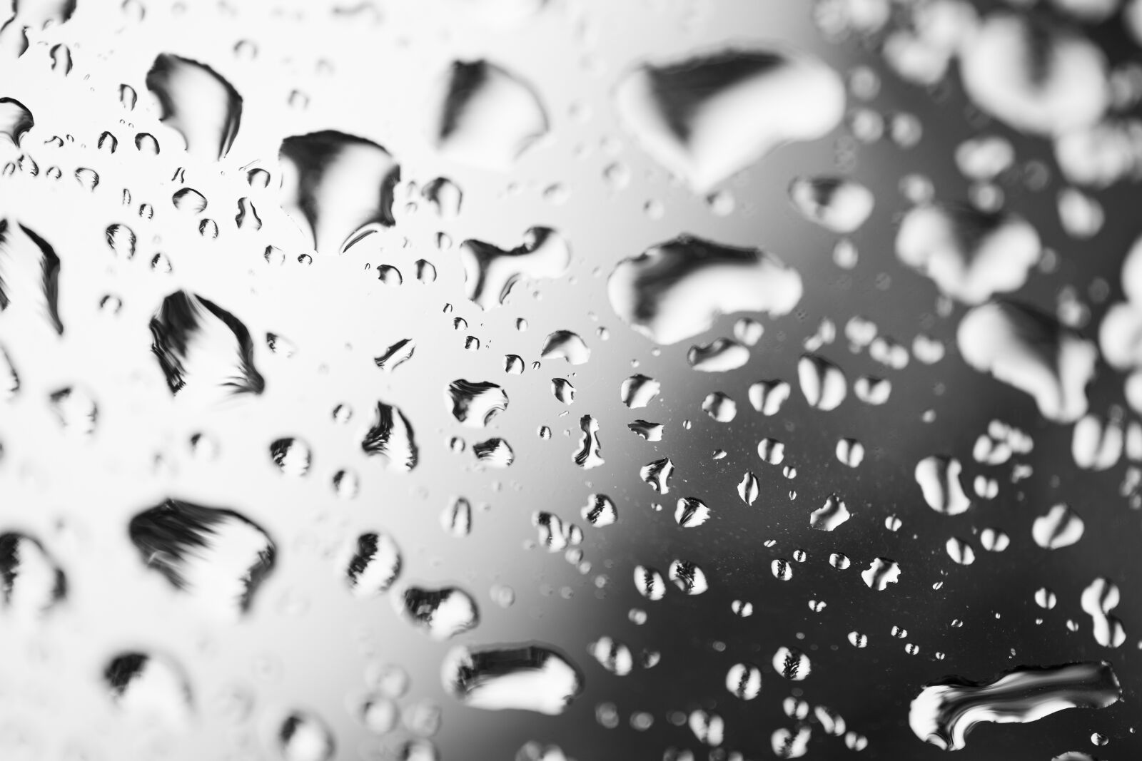 Canon EF 100mm F2.8L Macro IS USM sample photo. Drip, raindrop, water photography