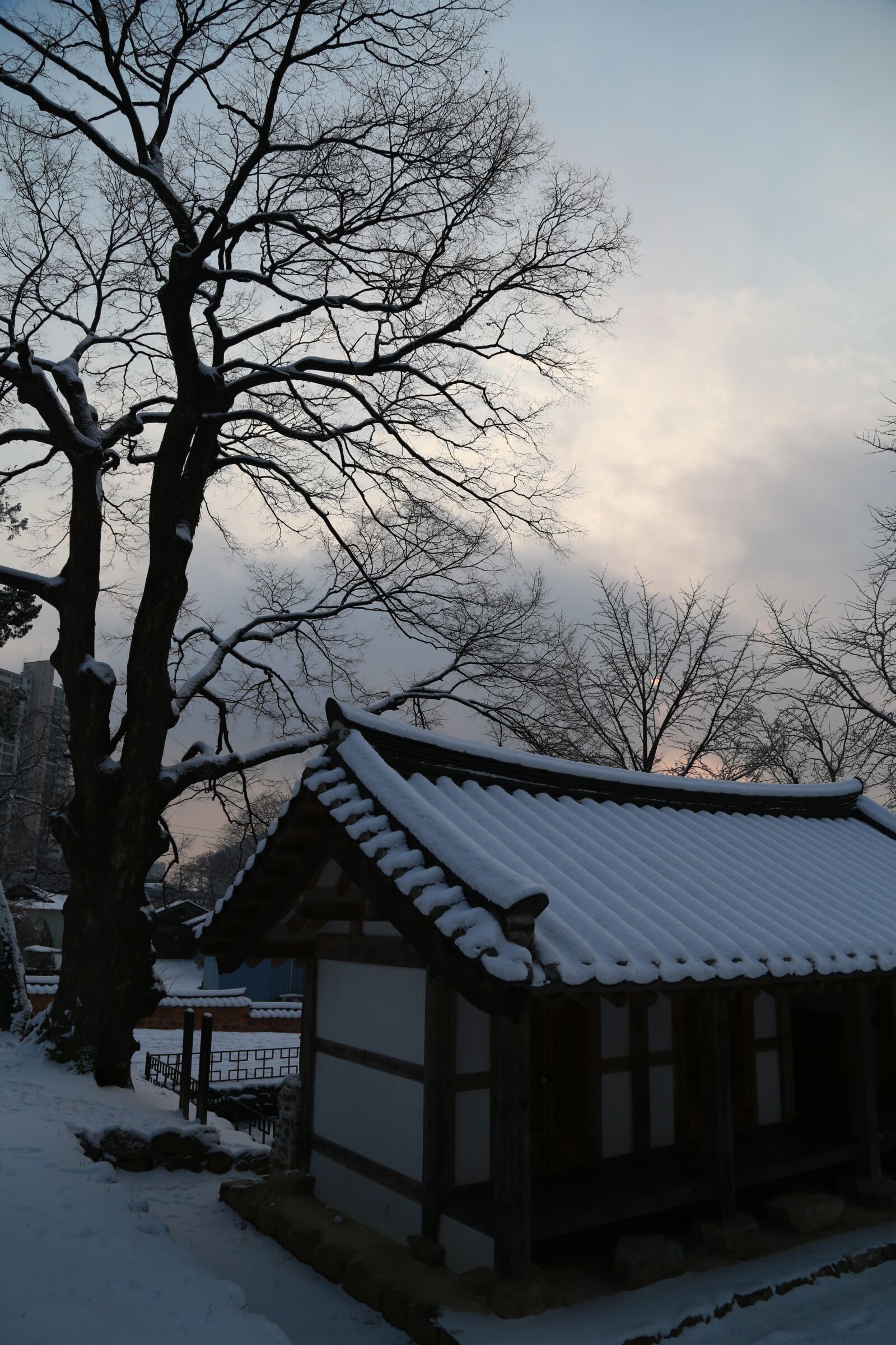 Canon EOS 6D + Canon EF 24-105mm F4L IS USM sample photo. Home, snow, winter photography