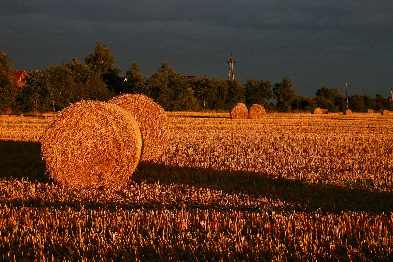 Canon EOS 300D (EOS Digital Rebel / EOS Kiss Digital) sample photo. Summer, straw, field photography