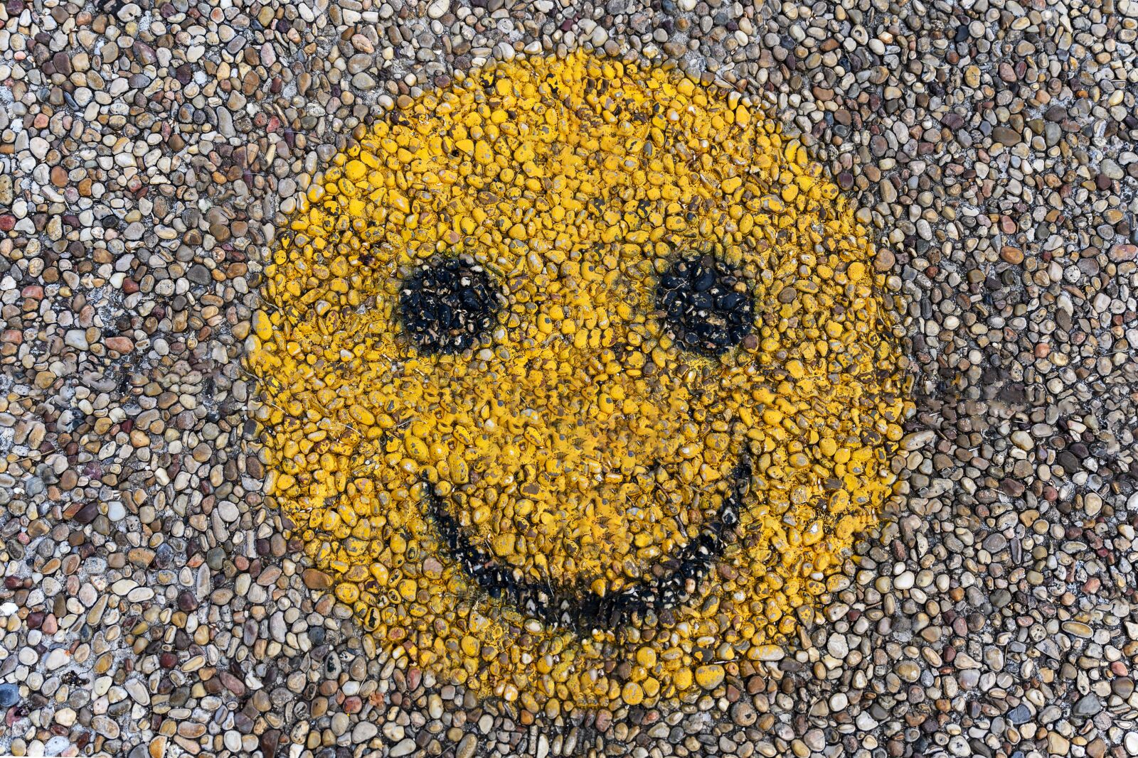 Nikon Nikkor Z 24-70mm F2.8 S sample photo. Smiley, emoji, characters photography