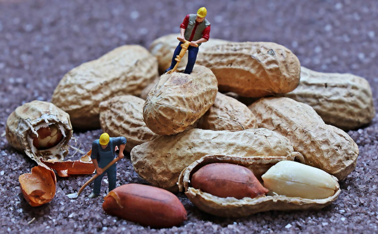 Canon EOS 80D sample photo. Food, object, plastic, shell photography