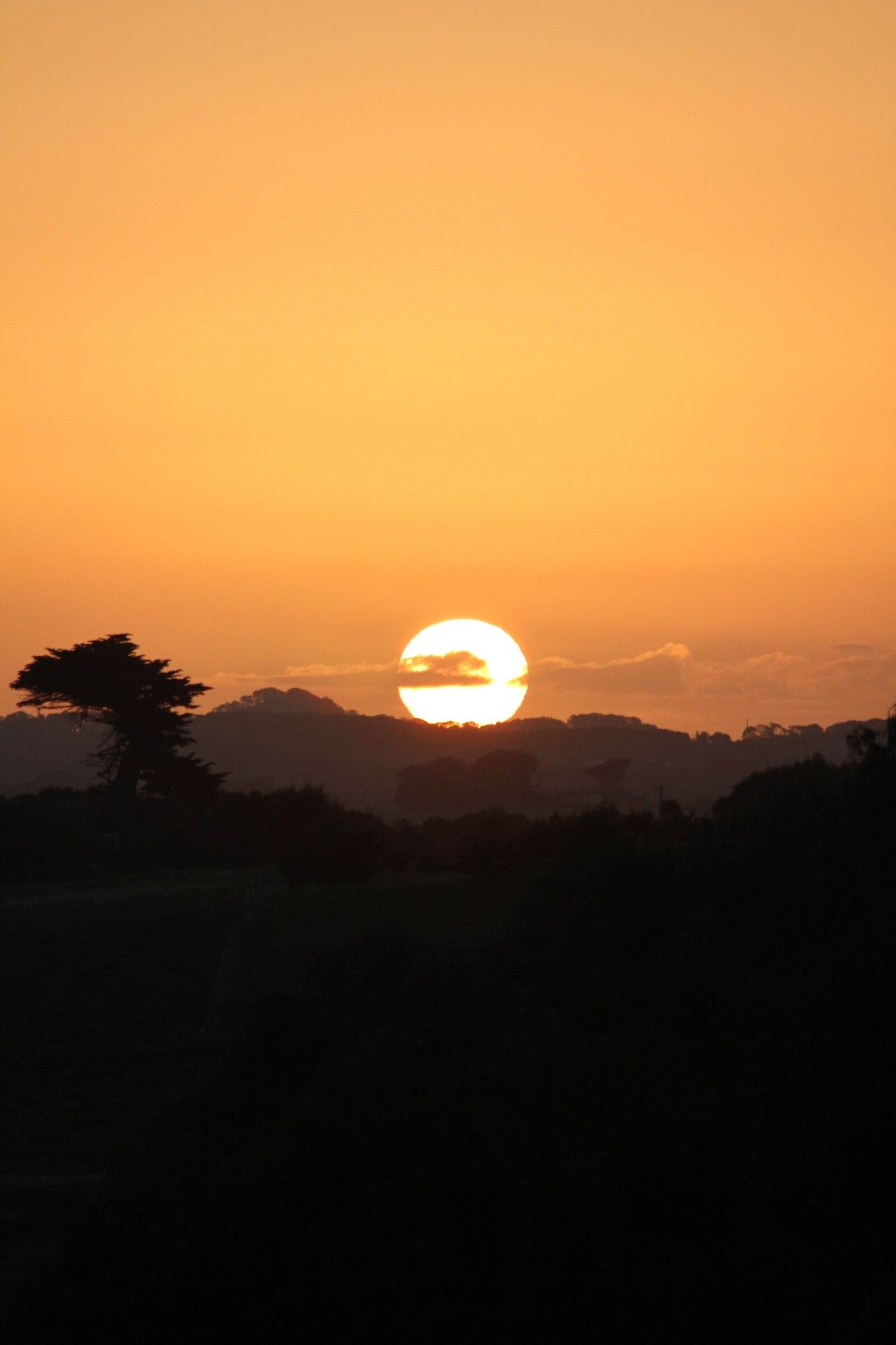 Canon EOS 550D (EOS Rebel T2i / EOS Kiss X4) sample photo. Victoria, skyline, dusk photography