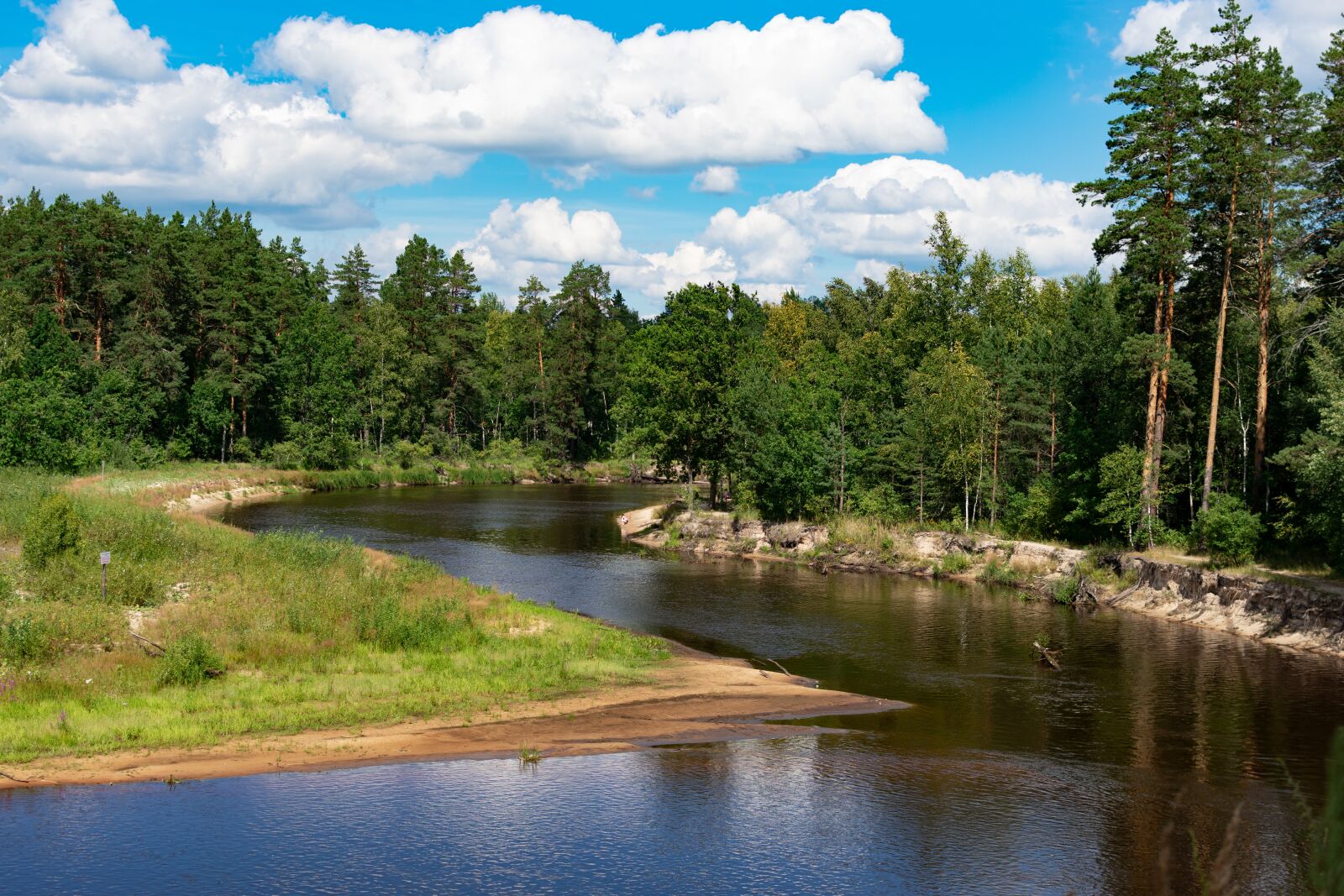Nikon D3400 sample photo. Forest, trees, lake photography