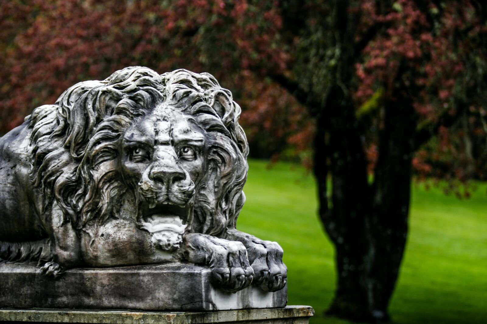 Canon EOS 20D sample photo. Lion, sculpture, head photography