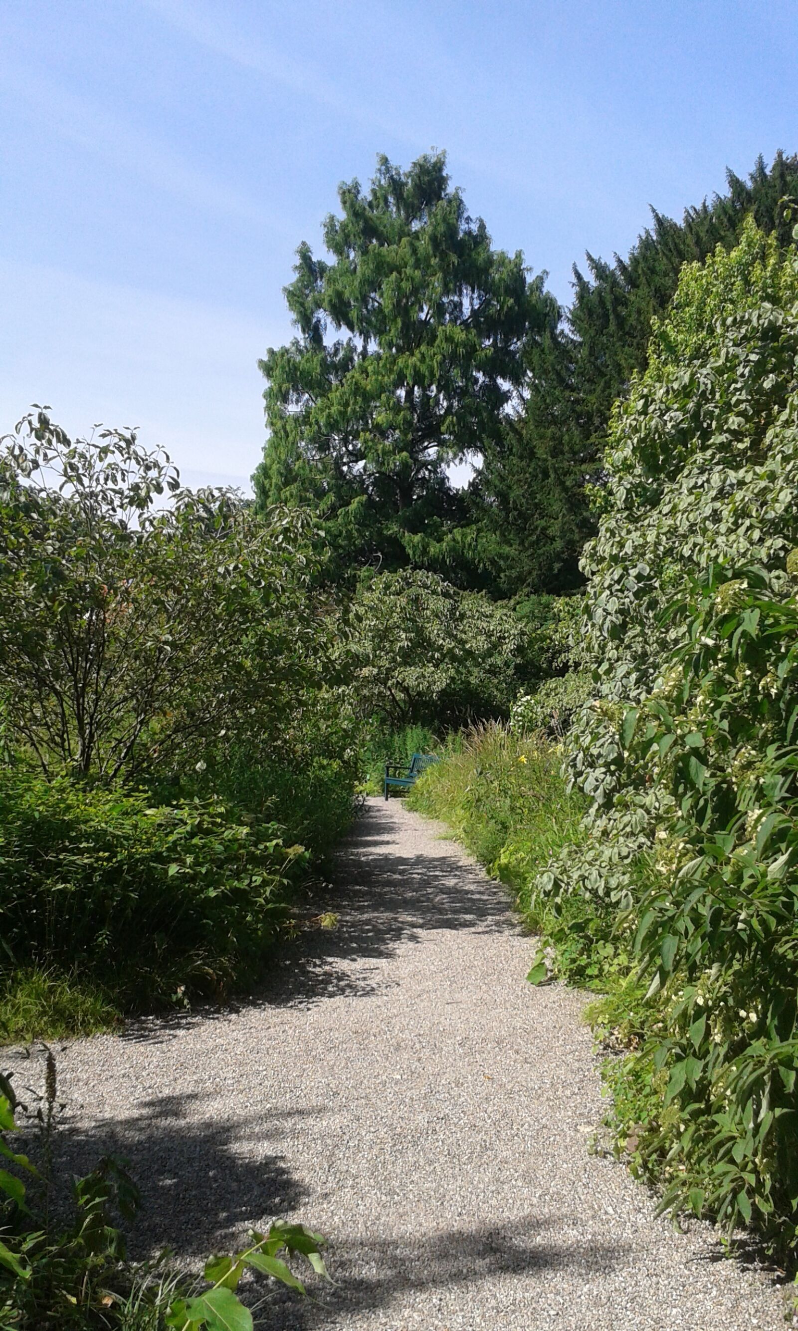 Samsung Galaxy S3 Mini sample photo. Hesse, weinheim, park photography