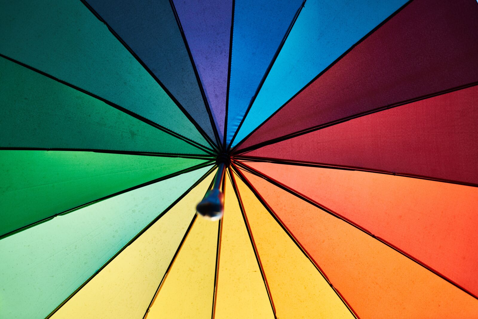 Sony a7R II sample photo. Colors, rainbow, live photography