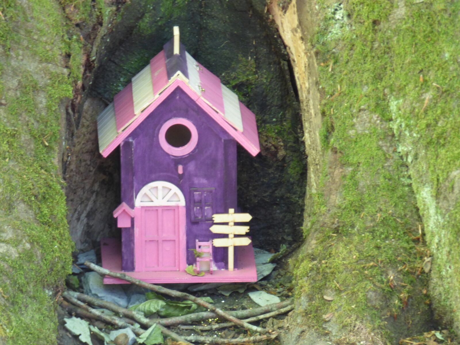 Panasonic DMC-FZ72 sample photo. Fairy house, tree, hidden photography