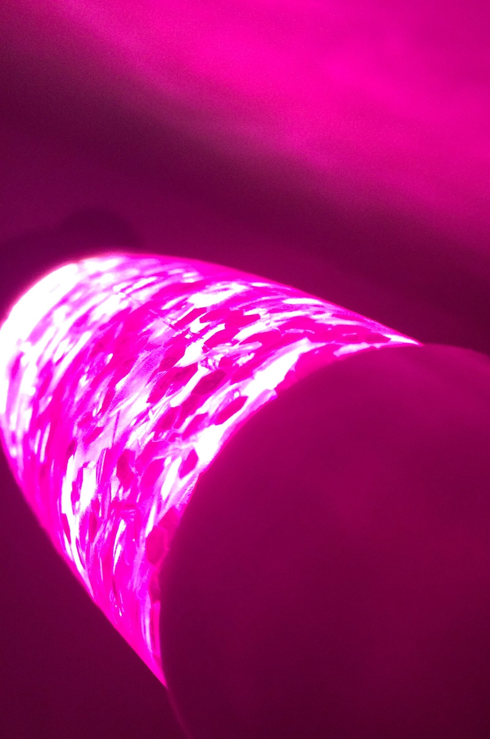 iPhone 5s back camera 4.15mm f/2.2 sample photo. Glitter, lava, lamp, light photography