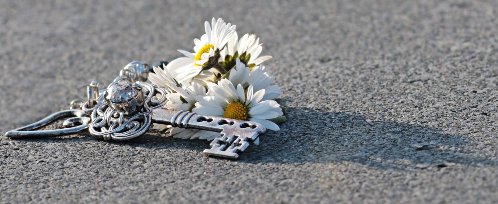 Canon EOS 80D sample photo. Key, heart, daisy photography