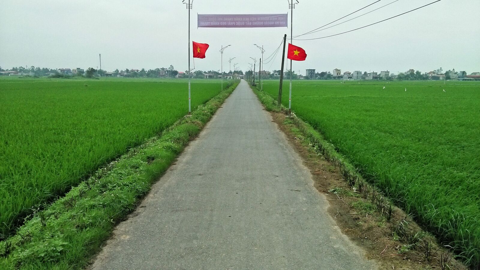 OPPO A37fw-International sample photo. Village, road, paddy field photography