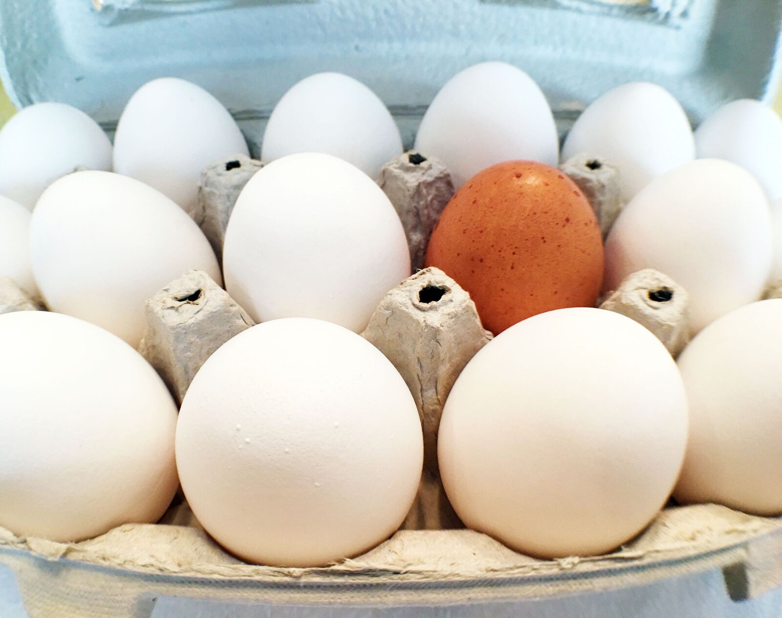 Apple iPhone 6s Plus sample photo. Eggs, alone, crowd photography