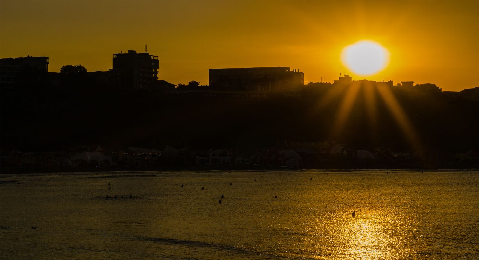 Sony a6000 + E 60mm F2.8 sample photo. Sunset, sun, shadow photography