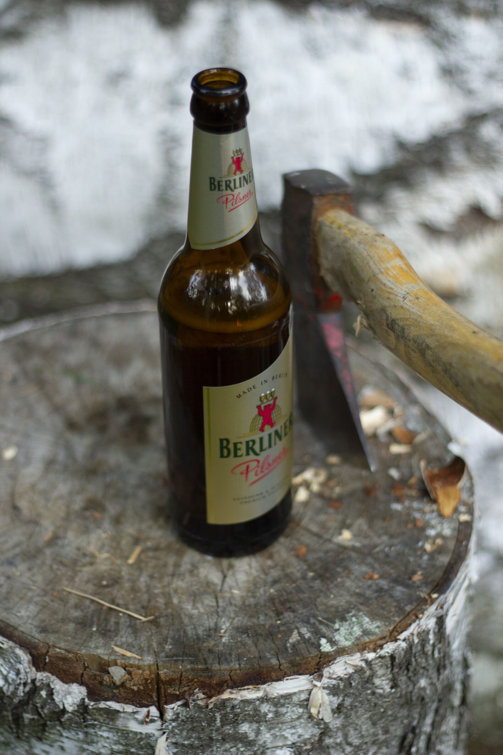 Canon EOS 550D (EOS Rebel T2i / EOS Kiss X4) sample photo. Berlin, mushroom, axe photography