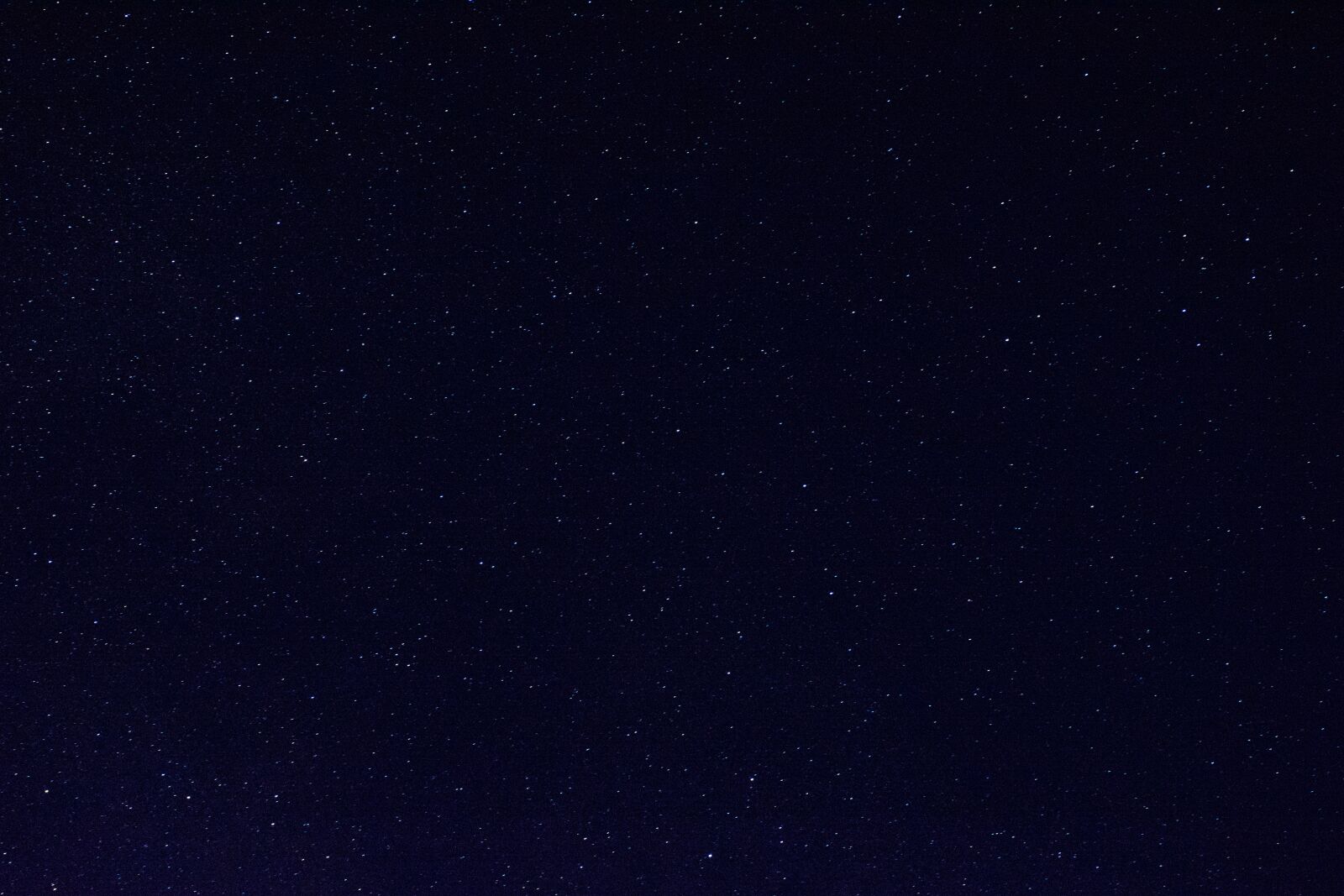 Nikon D5200 sample photo. Stars, forest, solitude photography
