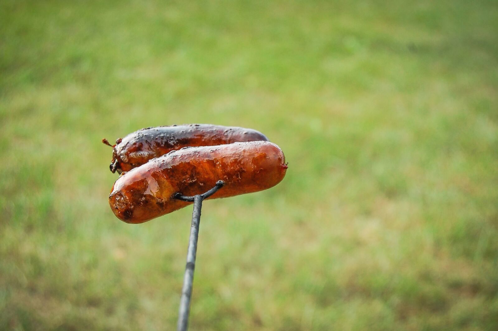 Nikon D40 sample photo. Sausage, meat, barbecue, grill photography