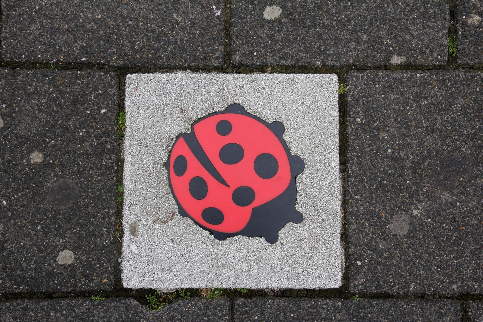 Canon EOS 60D sample photo. Concrete slab, deco, ladybug photography