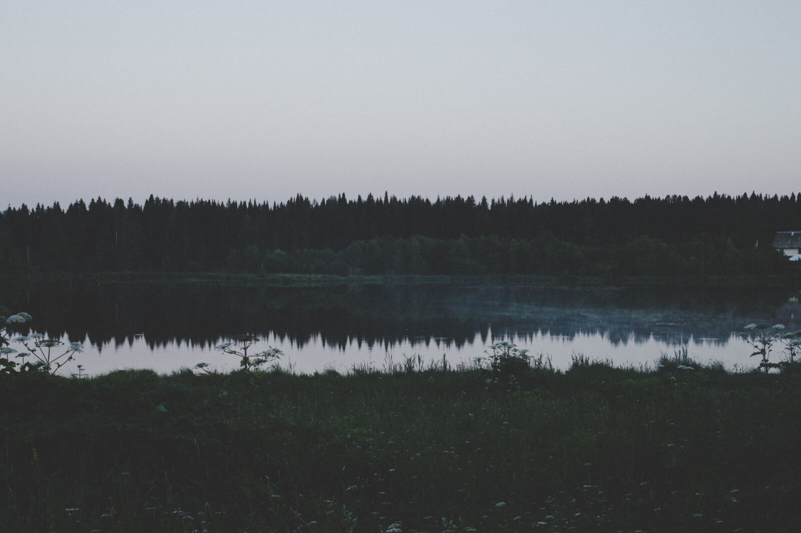 Nikon D3200 sample photo. In, distance, body, of photography