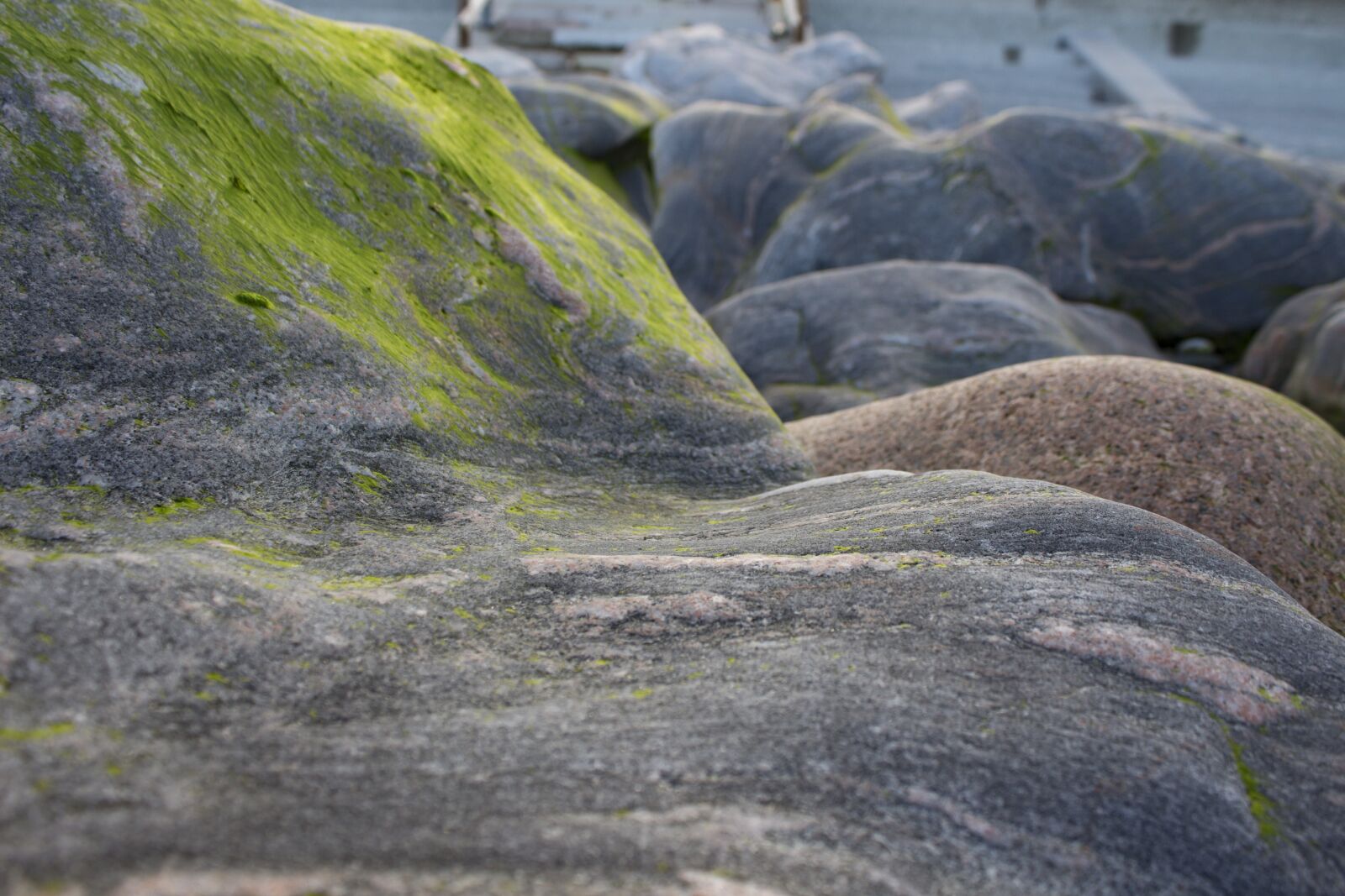 Canon EOS 650D (EOS Rebel T4i / EOS Kiss X6i) sample photo. Moss, rocks, beach photography