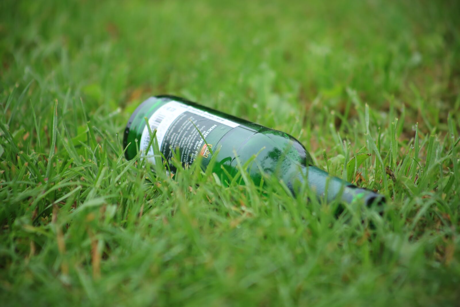 Canon EF75-300mm f/4-5.6 sample photo. Bottle, meadow, summer photography