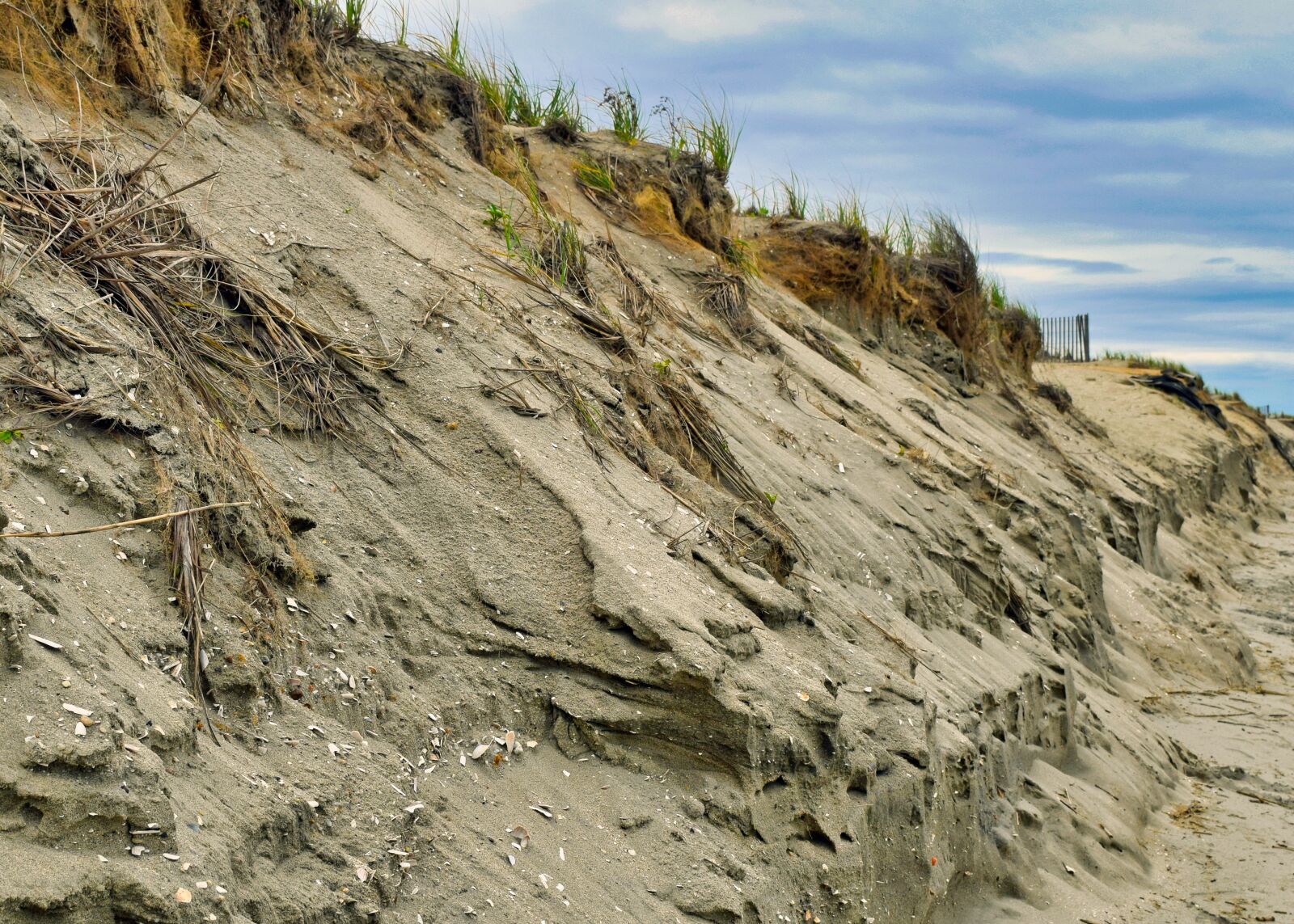 Nikon D3300 sample photo. Sand, dune, landscape photography