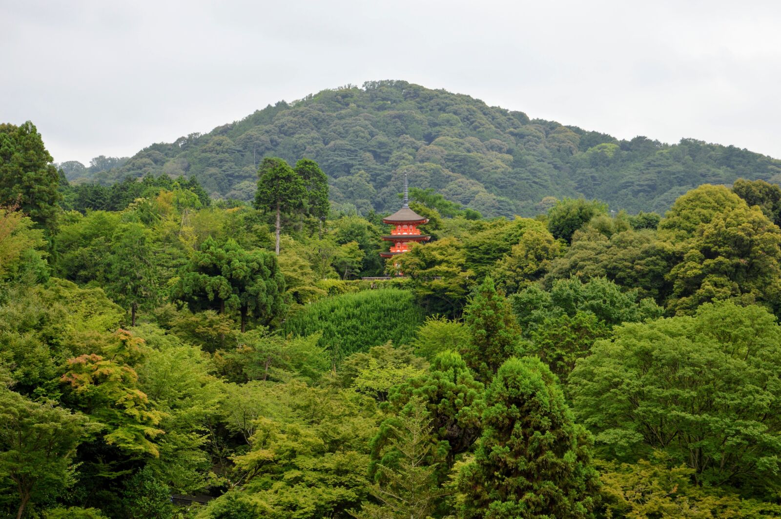 Nikon D3200 sample photo. Kyoto, japan, temple photography