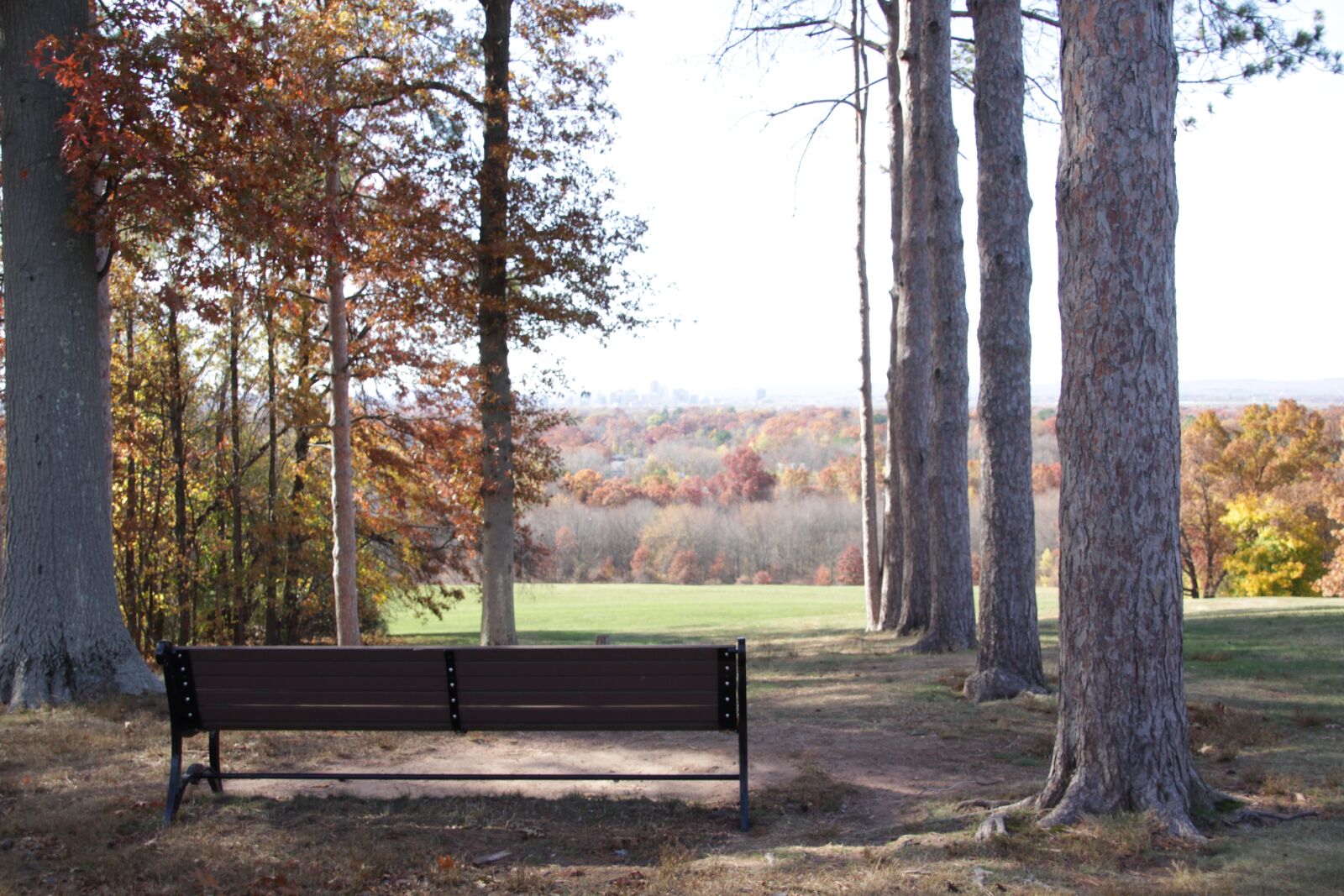 Canon EOS 700D (EOS Rebel T5i / EOS Kiss X7i) sample photo. Outside, nature, bench photography
