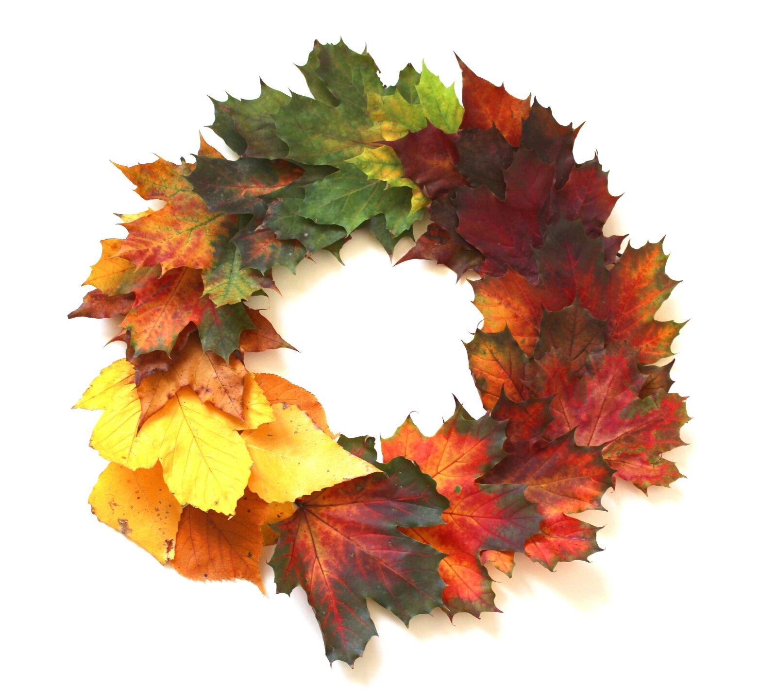 Canon EOS 700D (EOS Rebel T5i / EOS Kiss X7i) sample photo. Leaves, autumn, fall foliage photography