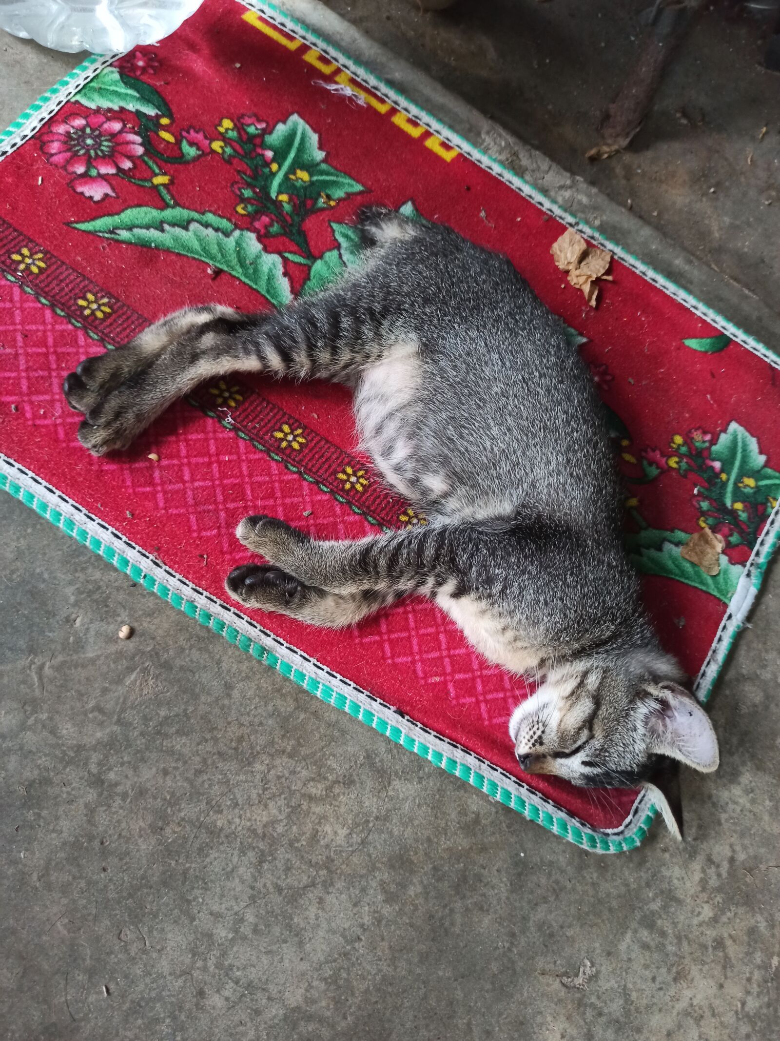 Xiaomi Redmi Note 8 Pro sample photo
