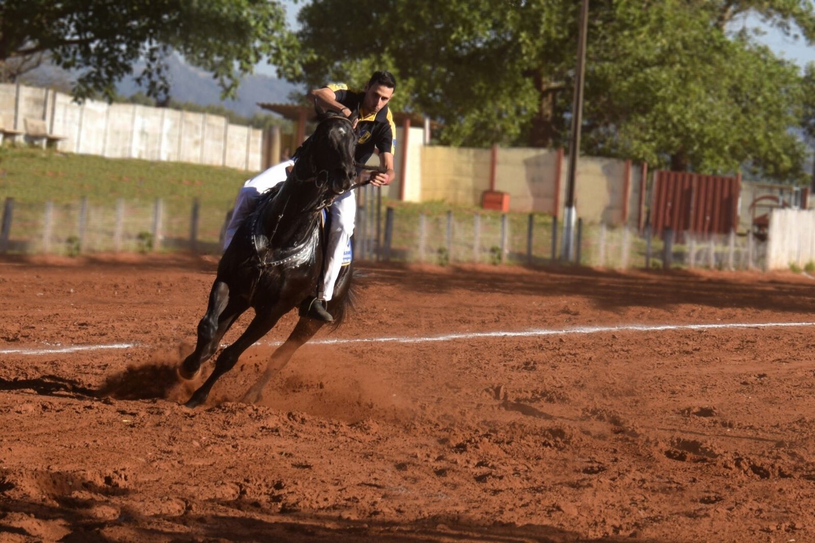 Nikon D5300 sample photo. Horse, race, equestrianism photography