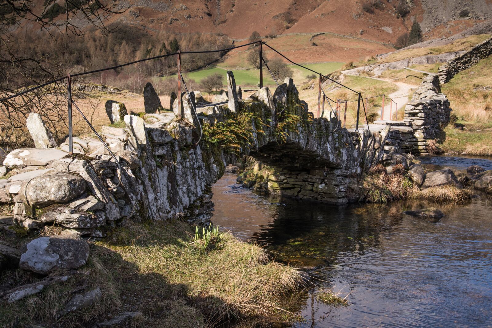Nikon D810 sample photo. Bridge, pack horse, river photography