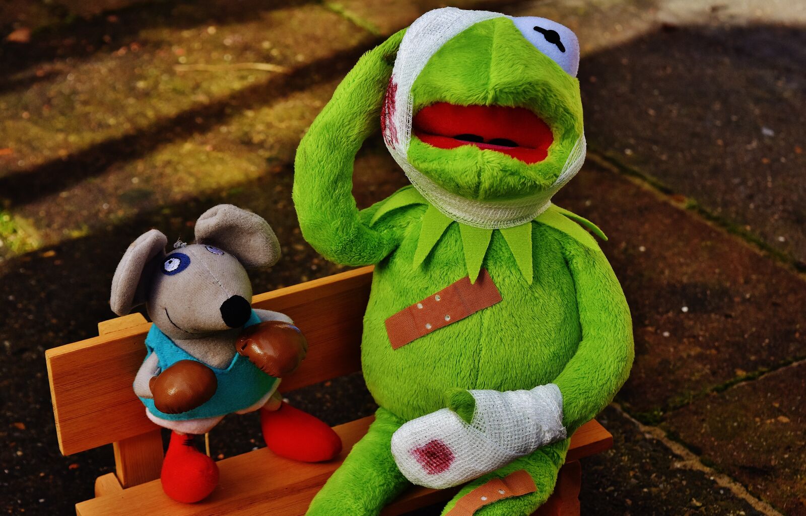 Nikon D7200 sample photo. Kermit, mouse, stuffed animal photography