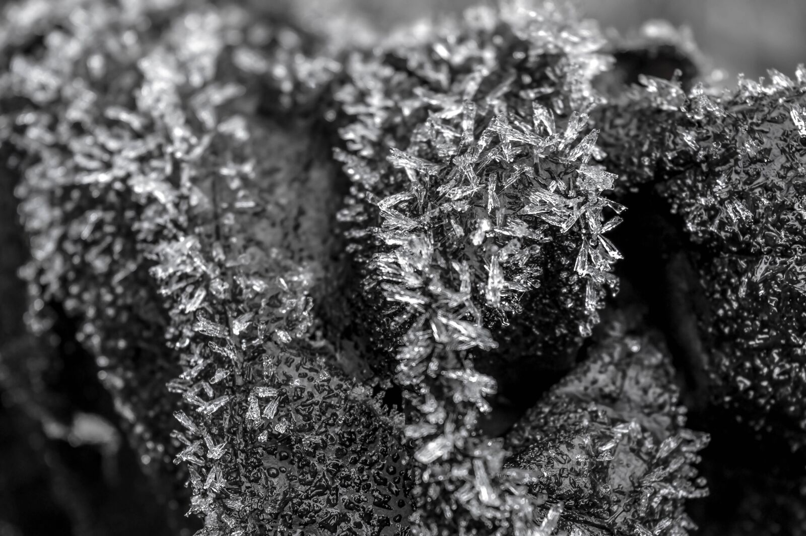 Nikon D3200 sample photo. Ice, frost, winter photography