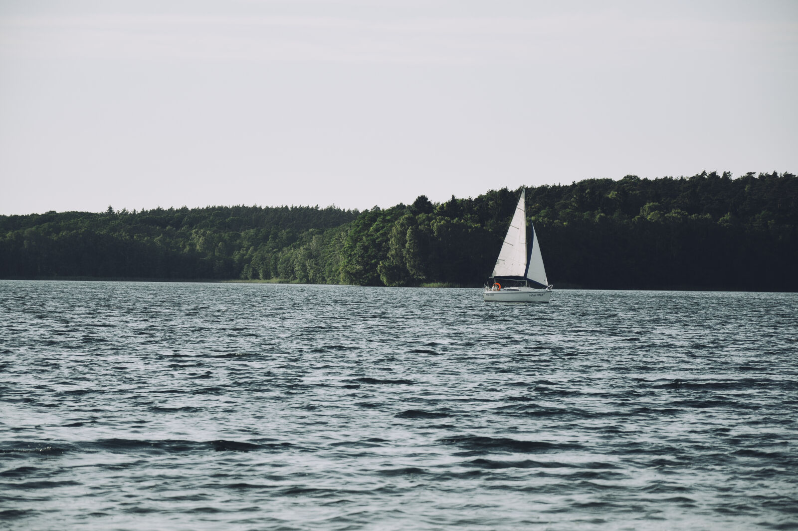 Nikon D3200 sample photo. White, sailboat, sail, on photography