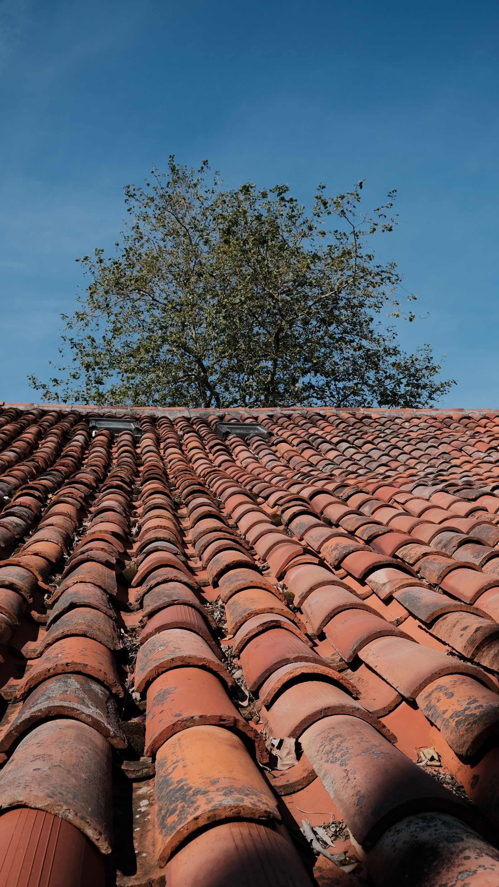 Fujifilm X-T2 sample photo. Roof, sky, blue photography