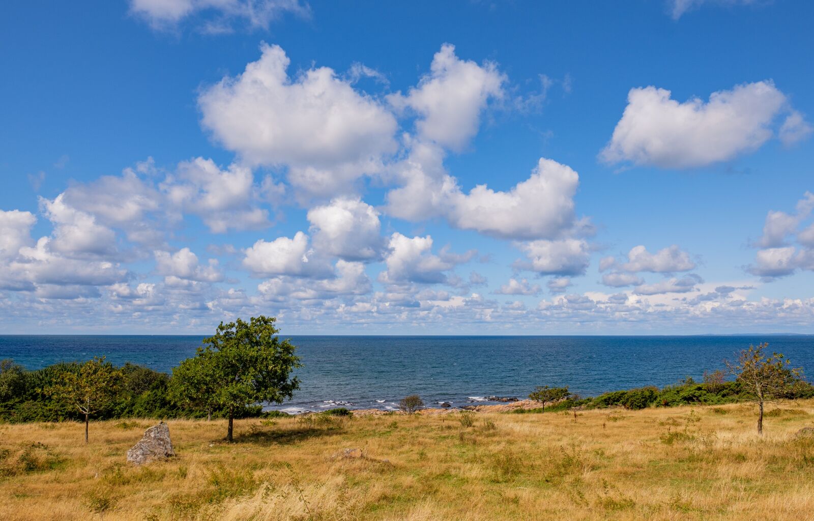 Fujifilm XF 16mm F1.4 R WR sample photo. Meadow, tree, water photography