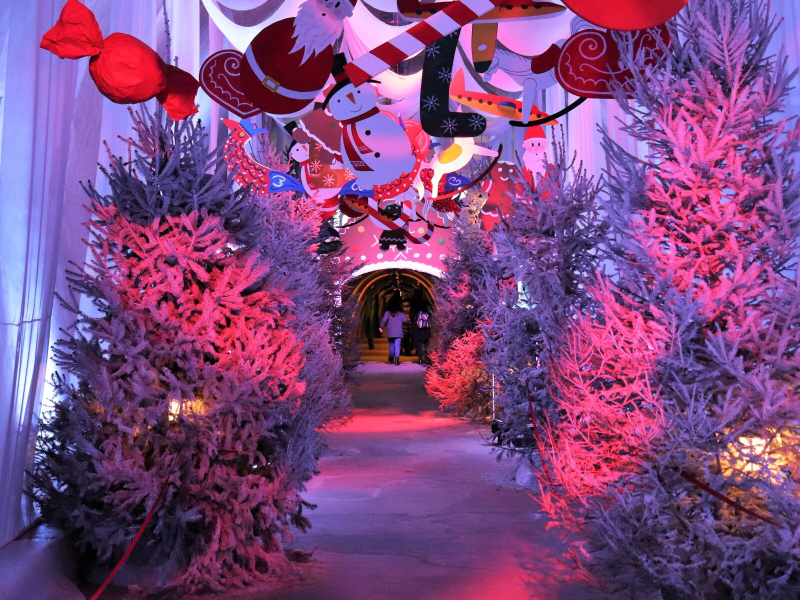 Canon EOS 200D (EOS Rebel SL2 / EOS Kiss X9) sample photo. Christmas decoration in tunnel photography