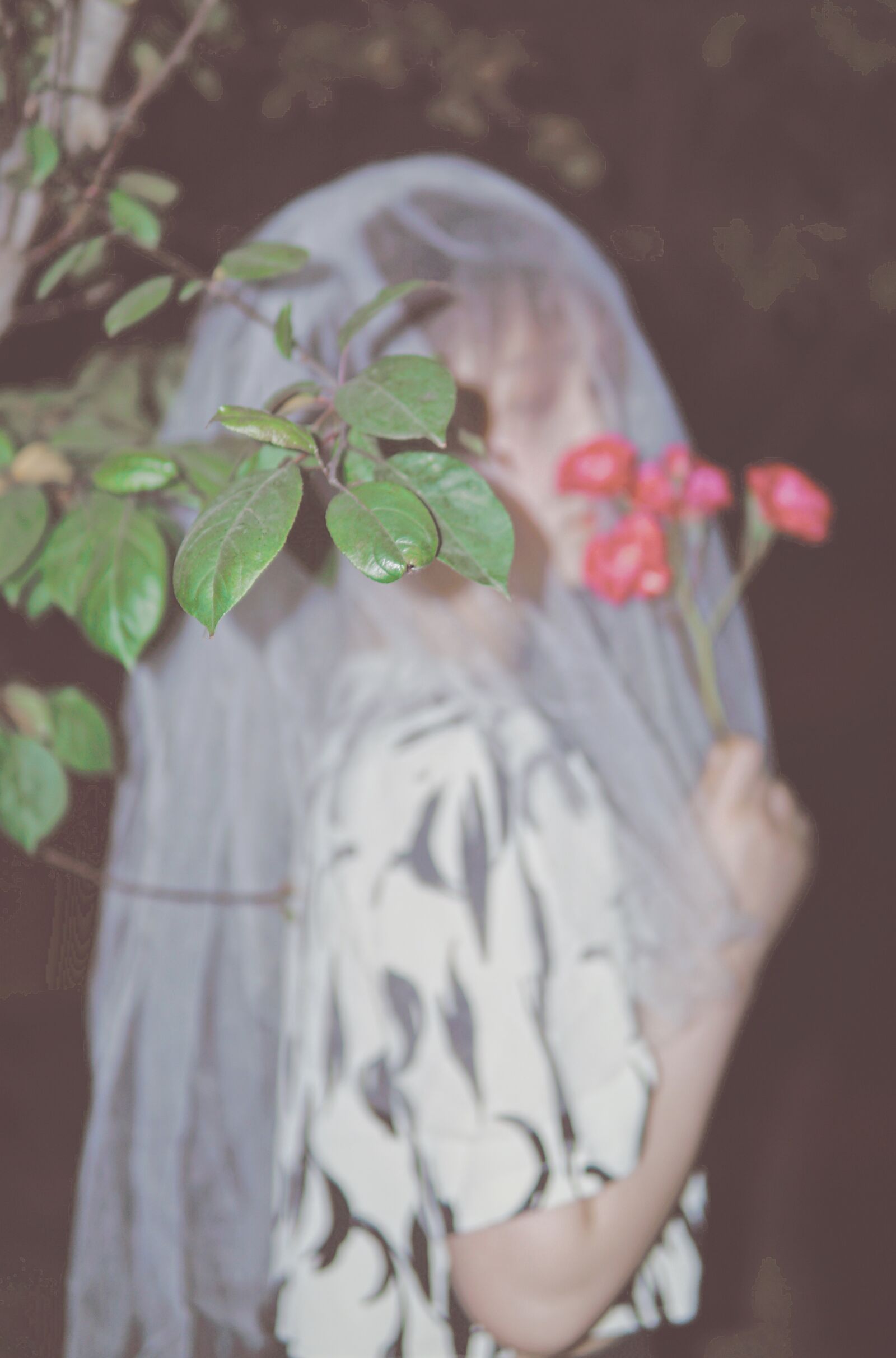 30mm F1.4 DC DN | Contemporary 016 sample photo. Yarn, girls, flowers photography