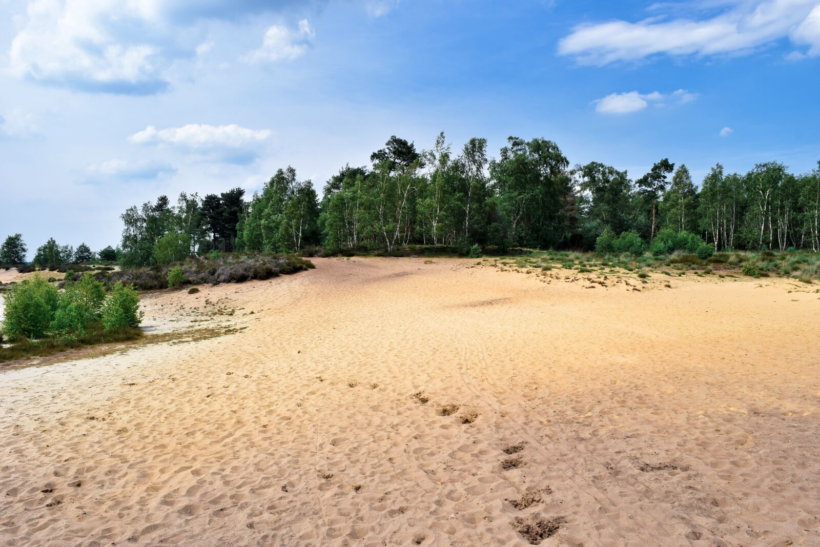 Nikon D3300 sample photo. Landscape, dunes, shifting sand photography