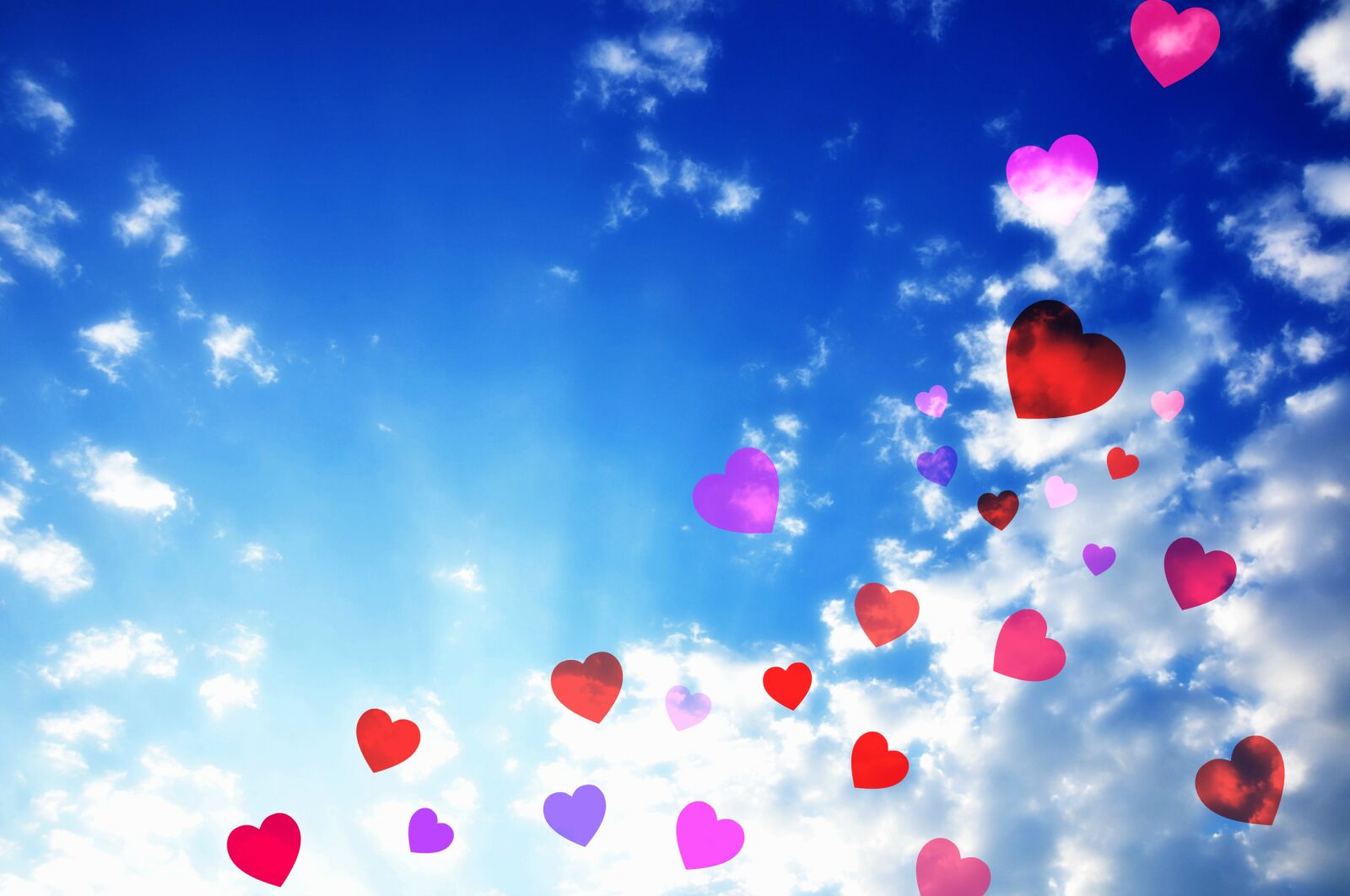 Nikon D90 sample photo. Heart, symbol, love photography